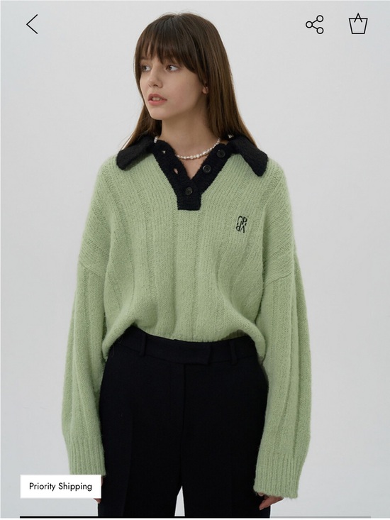 Grove Sweaters - Grove Soft Knit Collar Pullover Sweater Mint Green Black Size F US M